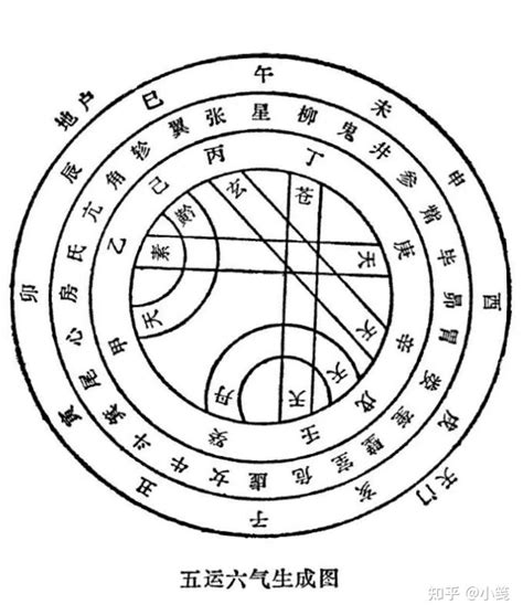 丁壬化木|天干五合详解